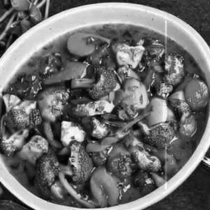 Mix Veg in Garlic Butter Sauce