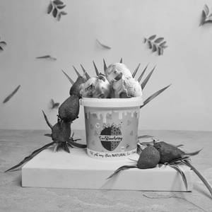 Strawberry Ice Cream