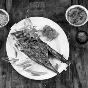 Grilled Fish