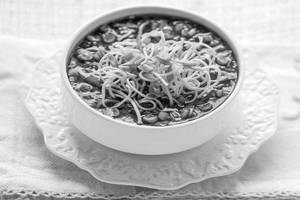 Veg Manchow Soup