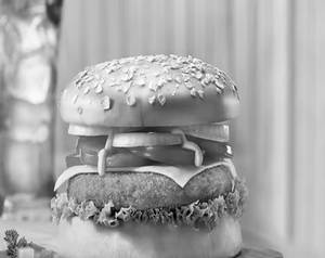 Veg. Cheese Burger