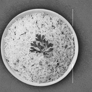 Plain Rice