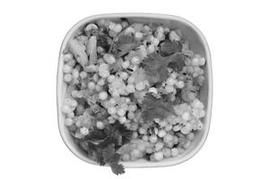 Farali Sabudana Khichdi