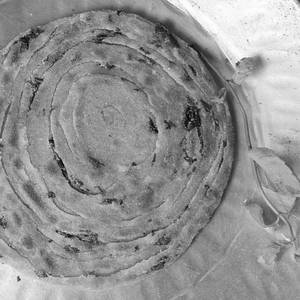 Tandoori Laccha Pudina Paratha