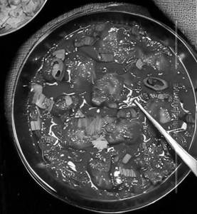 Veg manchurian  [gravy]