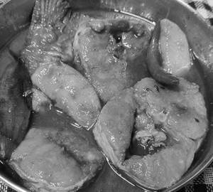 Ful Kopi Rui Jhol ( Haya ) 2pcs rui