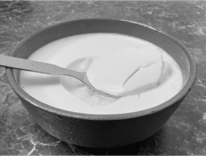 Curd-100 Gm