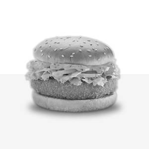 Plain Cheese Burger