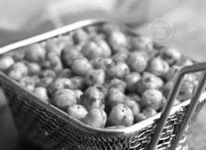 Chana Roast