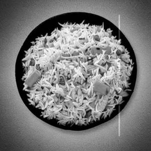 Veg Garlic Rice