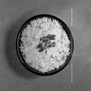 Plain Rice