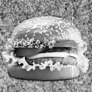 Tom Mayo Burger