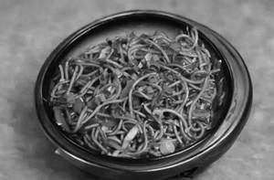 Hot garlic noodles