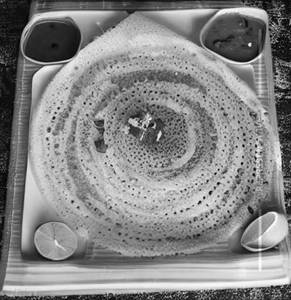 Set Dosa
