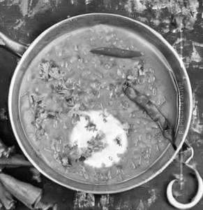 Dal Fried