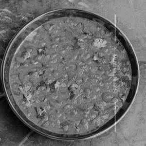 Jain Gujarati Toor Dal [250 Grams]