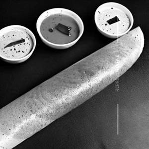 Mysore Plain Dosa