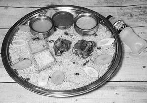 Mutton Mandi 2pcs (serves 2)