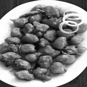 Gobi 65