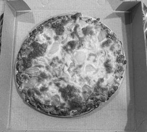 Onion pizza