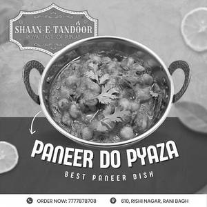 Paneer Do Pyaza