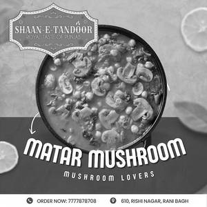 Matar Mushroom