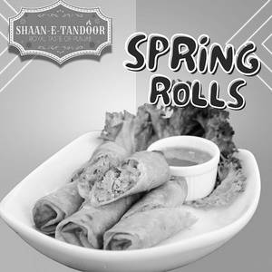 Spring Roll