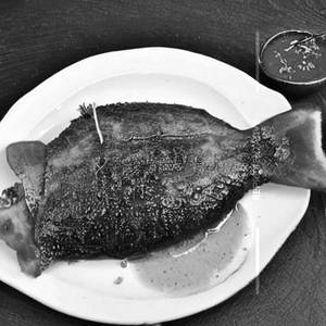 Avoli Fry [White Pomfret]