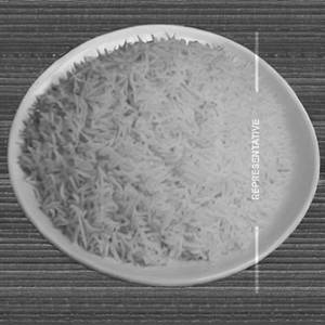 Plain Rice