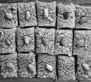 Milk Cake {250Gm}