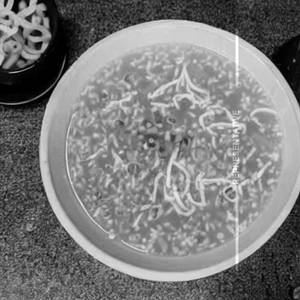 Egg Drop Soup