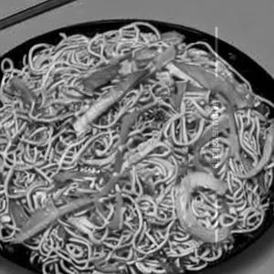 Pan Fried Noodles Mixed Choice Of Sauce