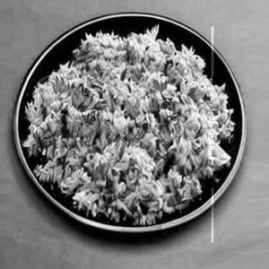 Burnt Garlic Rice - Chicken