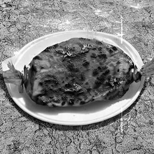 Pomfret Tandoor