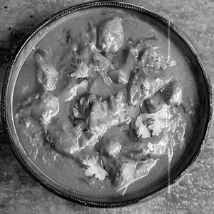 Butter Chicken Masala