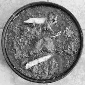 Mutton Rara