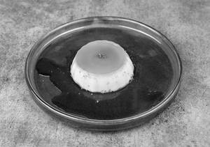 Caramel Pudding