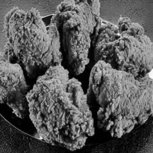 Fried Chicken