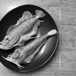 Dragon Fish