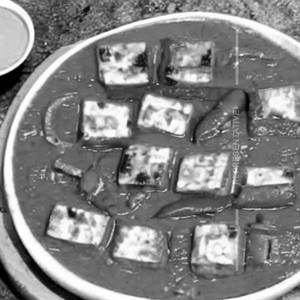 Paneer Pasanda