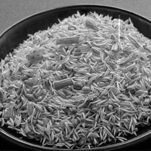 Vegetable Chow Chow Rice