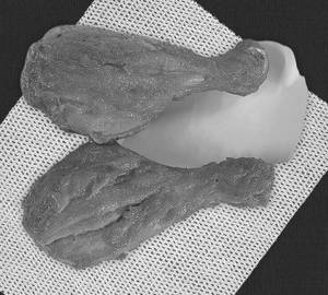 Chicken Leg Fry [3 Pieces]