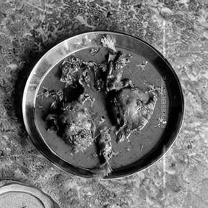 Kozhi Chettinad Kari Chicken