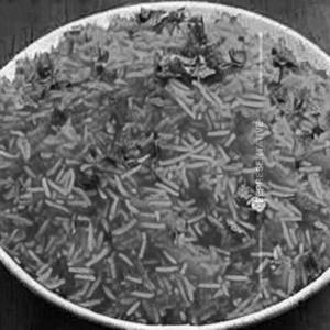 Tomato Rice