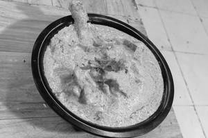 White Chicken