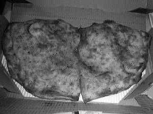 Veg Calzone Pocket