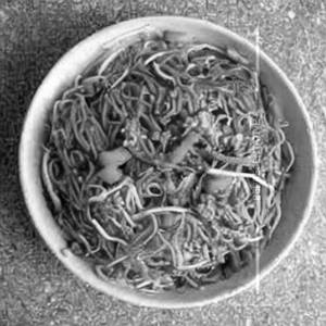 Mixed Soft Noodles