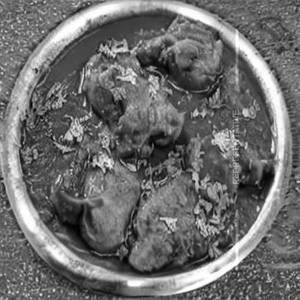 Boneless Chicken Achari