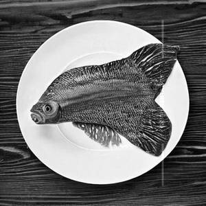 Apollo Fish
