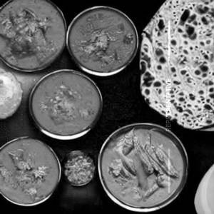Udupi Special Veg 